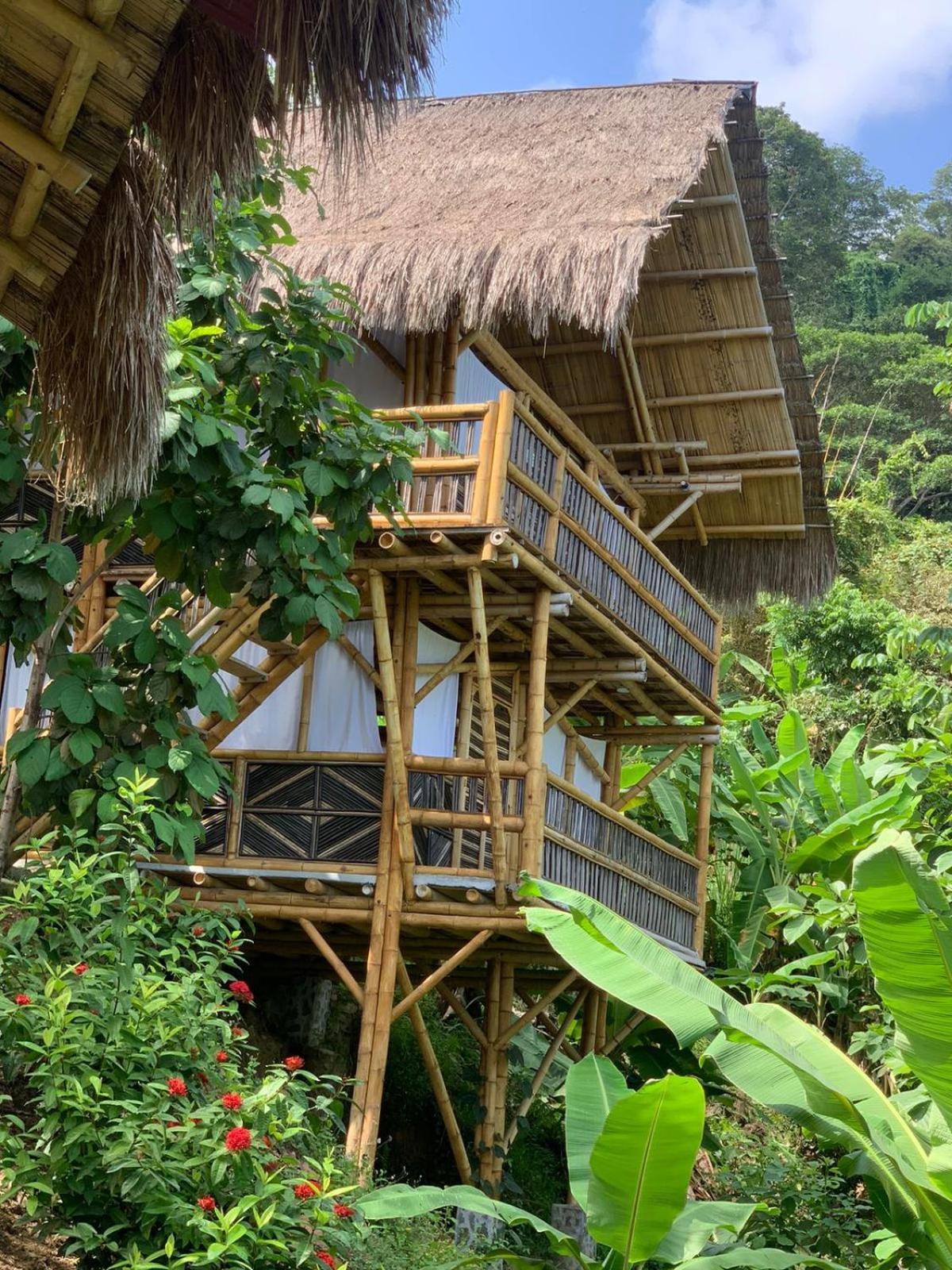 Niuwi Hostel Buritaca Eksteriør bilde